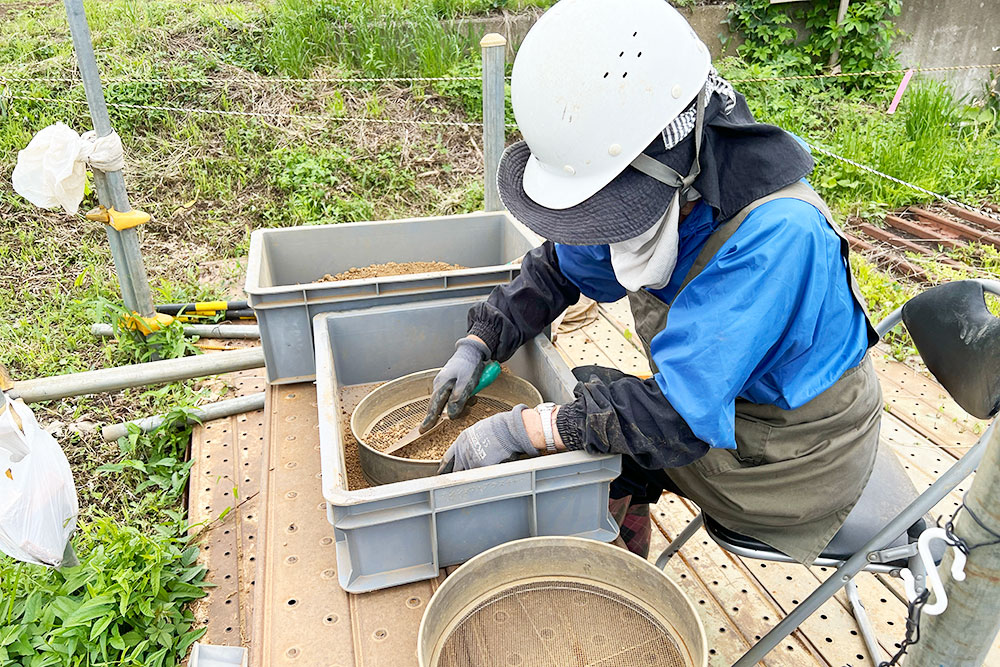 遺跡発掘作業員募集